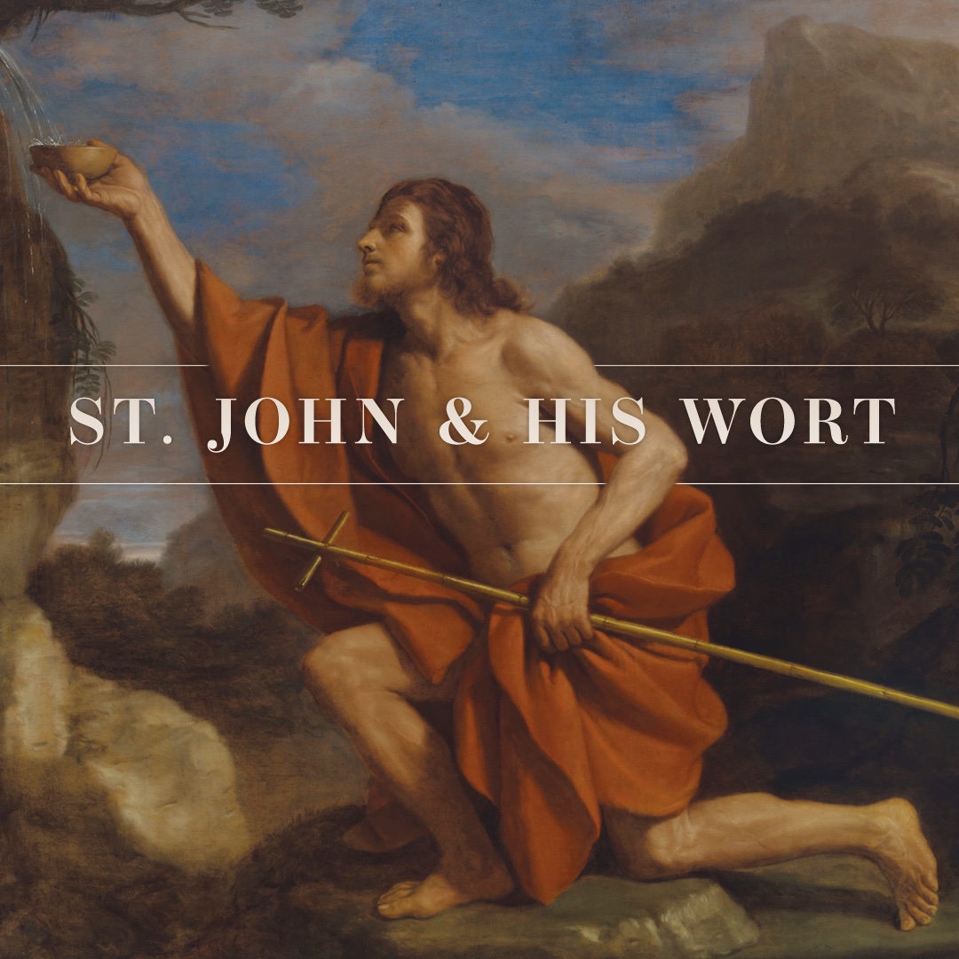Michelles_HH's tweet photo. Today at 4 pm pst, my fiancé Mario Garza of Symbolic Studies joins me to discuss the lore, esoteric symbolism and uncommon, yet noteworthy correspondences associated with St. John and the medicine of St. John’s Wort.

#stjohnthebaptist 

https://t.co/ck1PQ4ZDEz https://t.co/OQIFOJW9kO