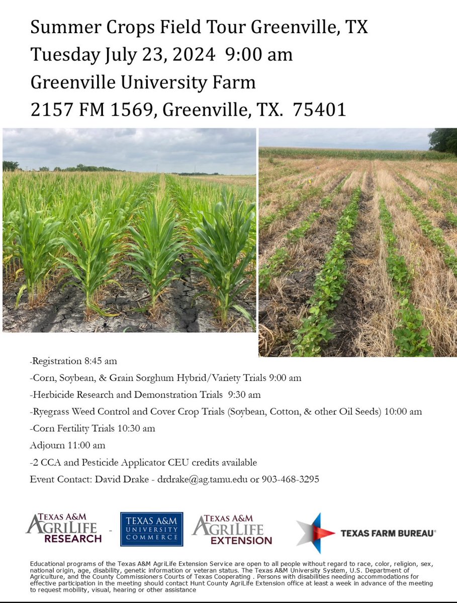 Grace Flusche Ogden tweet media