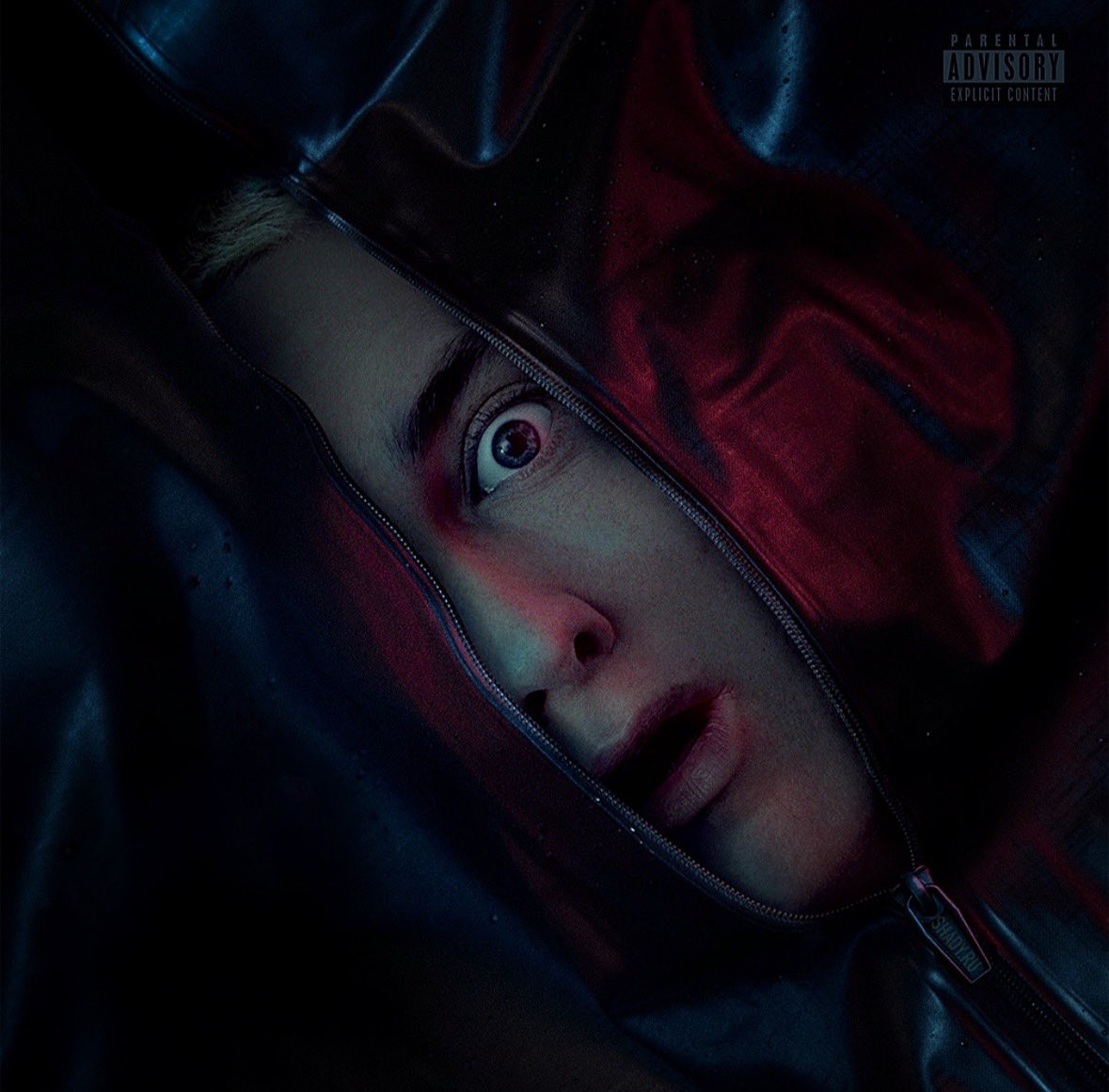 berzerkshow's tweet photo. in my opinion, the cover looks better without the title on it 🤓

#TheDeathOfSlimShady https://t.co/Bk9CZBYC5d
