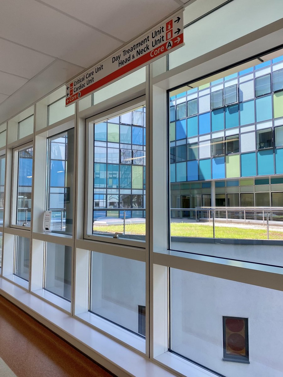 Haleema 👁️ tweet media