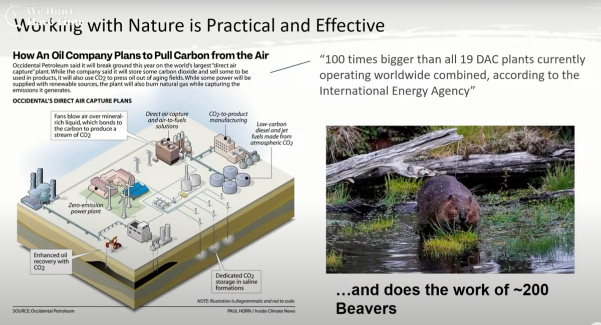 tmoindustries's tweet photo. Who needs Direct Air Capture when Beavers 🦫 will do the work for us?

200 beavers CO2 removal = world's largest DAC plant

love this! from Tom Chi @atoneventures @GreenBiz #GreenFin https://t.co/QUVefDfiIZ