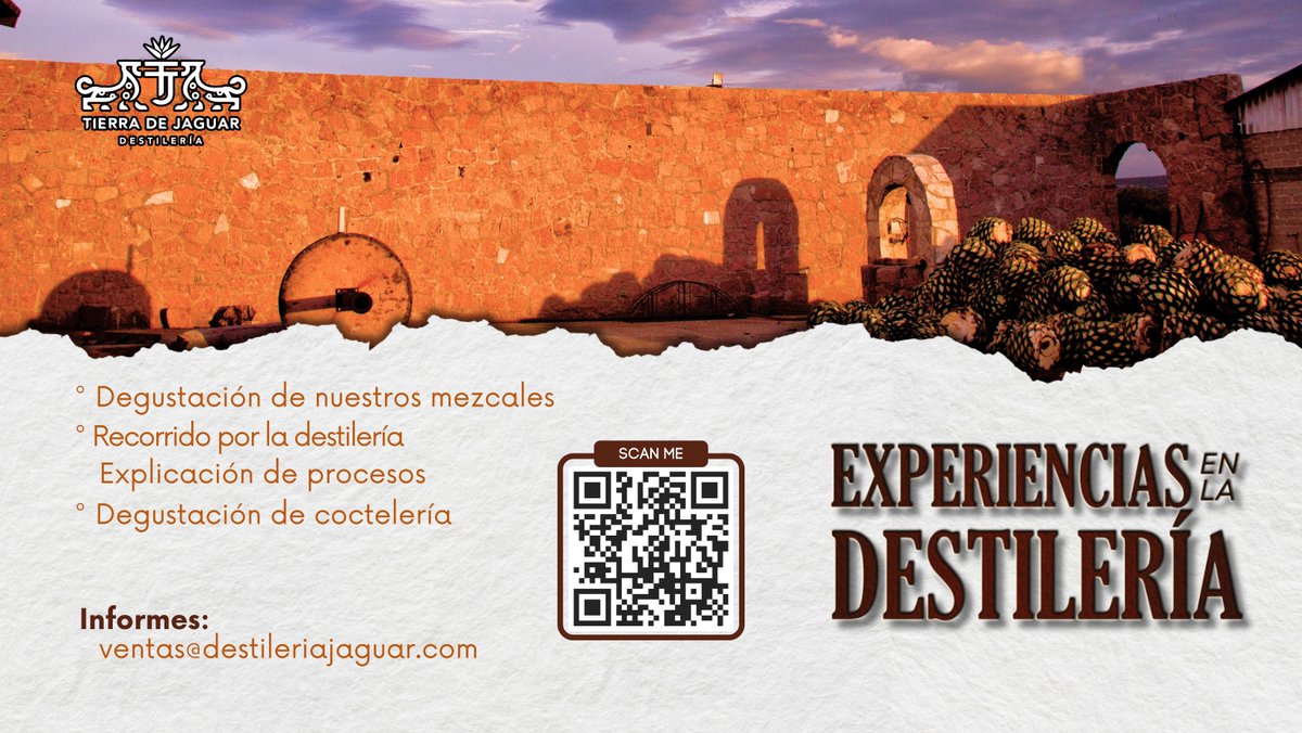 TierradeJaguar's tweet photo. 📸 •EXPERIENCIAS EN LA DESTILERÍA• 🐆

📆 Agenda tu visita y disfruta de un recorrido por la destilería, degustación de nuestros mezcales y la historia que hay detrás de Tierra de Jaguar. 

¡No te quedes sin visitarnos! 💚

.
.
#Mezcal #Guelaguetza https://t.co/uUK5wjxFo5