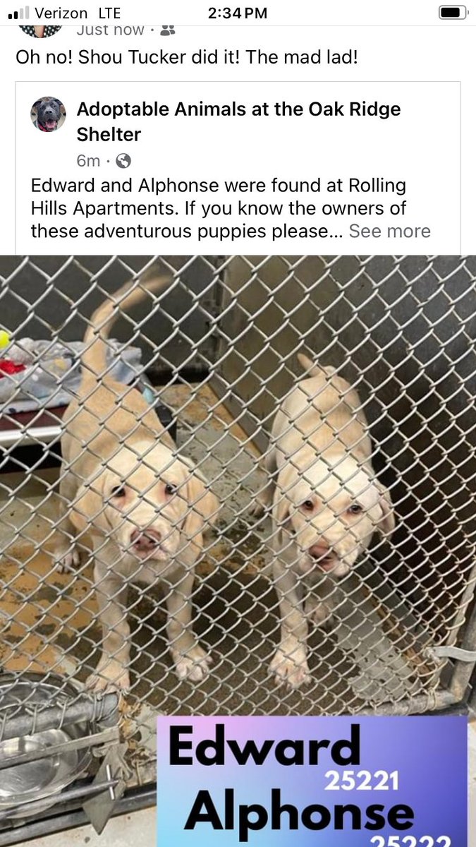 pier_michelle's tweet photo. @Chuck_Huber what have you done to my twins 😂🤣 https://t.co/YVgVLb6F7h