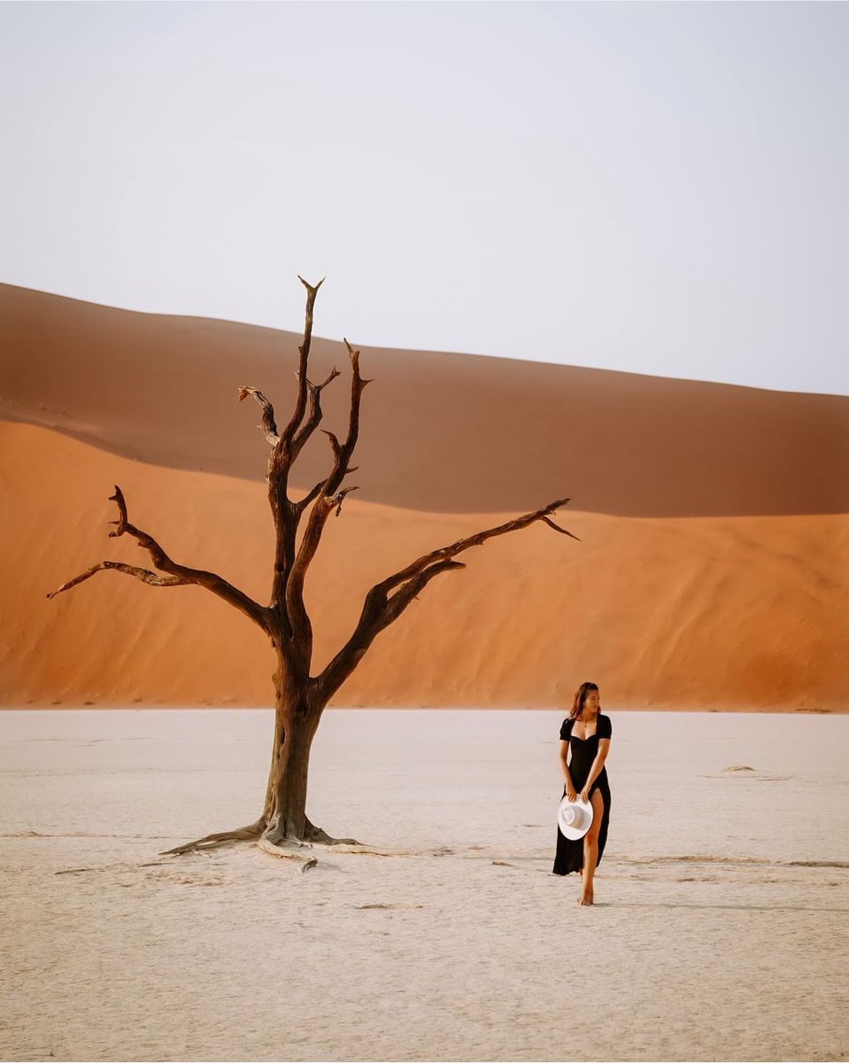tripdocom's tweet photo. 🇳🇦 Namibia is world famous for the highest dunes in the world at Sossusvlei and for the Etosha National Park, one of world’s greatest conservation areas.
*
*
*
*
https://t.co/lq0y2m0X4W 
*
ImaGe by @ travelmina_ 
*
*
#namibia #namibia🇳🇦 #namibiatourism #namibiatravel #namibiaroadtrip #namibiaphotography #namibiadesert #visitnamibia #sandwichharbour #tripdo #travel #vacation #holiday #photooftheday #travelgram #travelawesome #traveladdict #ocean #dune #breathtaking #summerholiday #travelnow #instatripdo