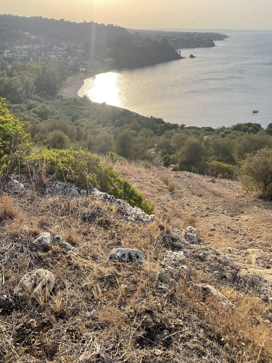 brightsitedes's tweet photo. @inov_8 not sure I justified the Trailfly speed name (particularly going up) #brucoli #Sicily #runtheworld #RunATWorld @WeAreRunThings 
@runningpunks https://t.co/264tE7SLnt