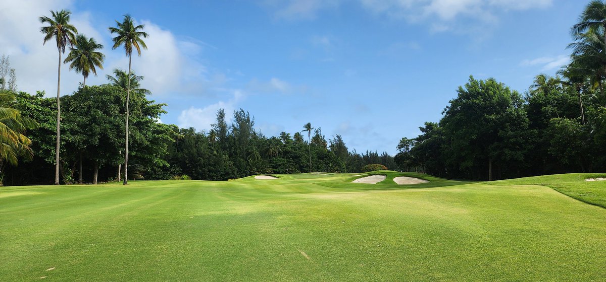 MurrayGuitars's tweet image. Huge shoutout to @TurfMamba for his incredible hospitality and grounds tour. First class golf course in fabulous condition. You should be very proud of your team, they're killing it! Look forward to coming back, and to your visit to the states some time soon.