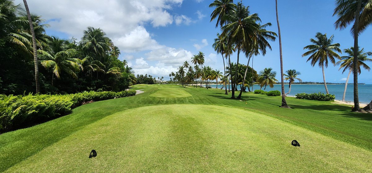 MurrayGuitars's tweet image. Huge shoutout to @TurfMamba for his incredible hospitality and grounds tour. First class golf course in fabulous condition. You should be very proud of your team, they're killing it! Look forward to coming back, and to your visit to the states some time soon.