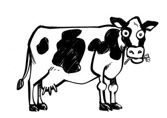 Learn About Canola tweet media