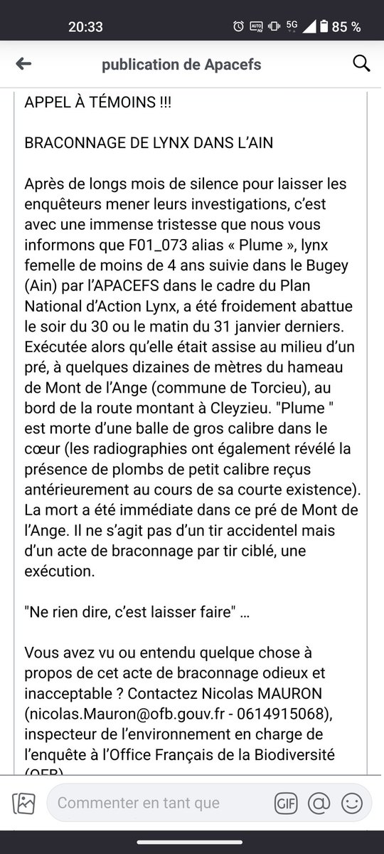 renardalpin's tweet photo. 🔴 APPEL À TÉMOIN ⚠️
Braconnage d'un lynx dans l'Ain près du hameau de Mont de l'Ange vers Torcieu/Cleyzieu
Si vous avez des informations, contactez l'OFB.
Infos et contacts ci-dessous : https://t.co/m4oDSM7K1x