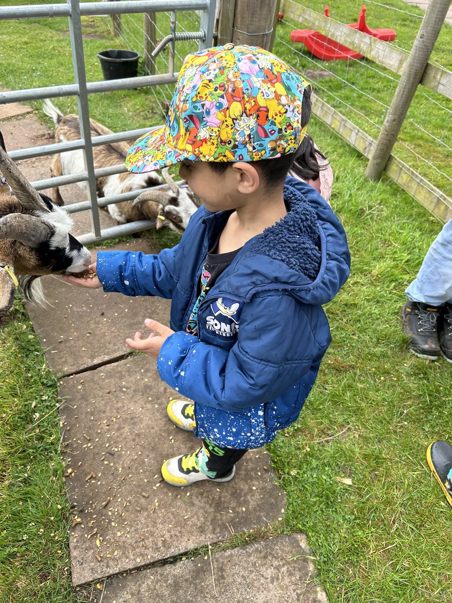 Miss Vickerstaff tweet media