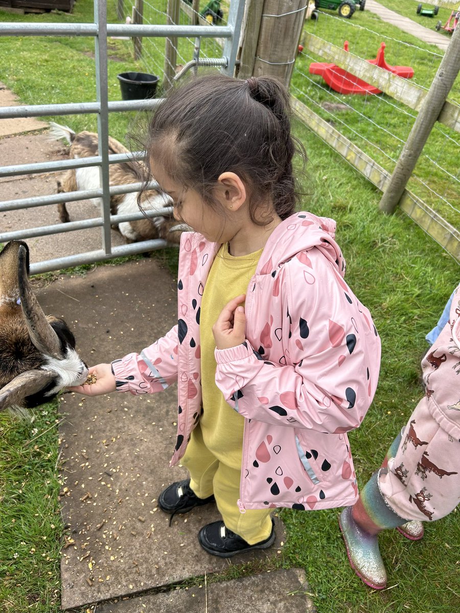 Miss Vickerstaff tweet media