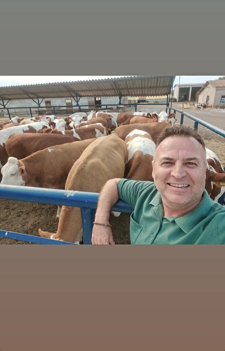 mustafakursat19's tweet photo. Prenseslerin keyfi yerinde Masallahhh....🧿🧿🧿🧿
A KALİTE SİMENTAL GEBE DÜVELERİMİZ SATIŞTA..
EXPER HAYVANCILIK
Alaca
0 (533) 376 71 85
#simental #Holstain #jersey #fleckvieh #Avusturya #Almanya #Macaristan #Çekya #gebedüve https://t.co/o6hMSCn1b2