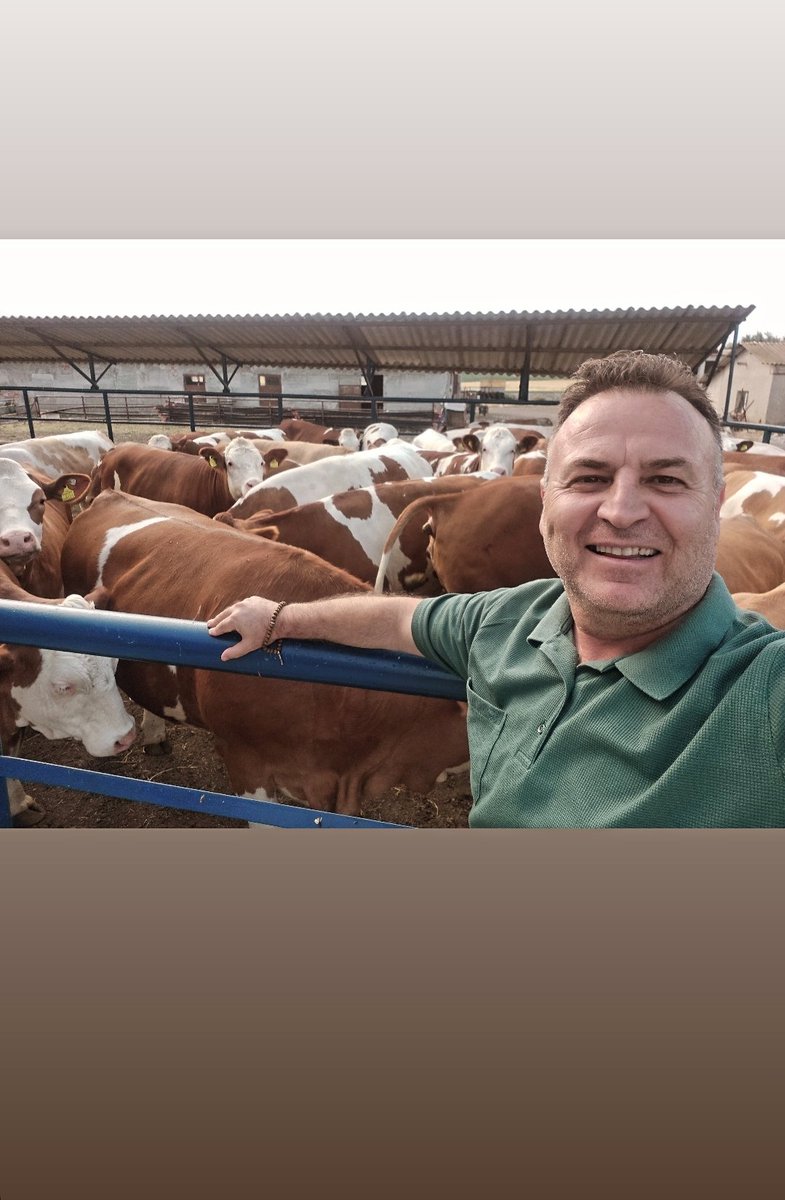 mustafakursat19's tweet photo. Prenseslerin keyfi yerinde Masallahhh....🧿🧿🧿🧿
A KALİTE SİMENTAL GEBE DÜVELERİMİZ SATIŞTA..
EXPER HAYVANCILIK
Alaca
0 (533) 376 71 85
#simental #Holstain #jersey #fleckvieh #Avusturya #Almanya #Macaristan #Çekya #gebedüve https://t.co/o6hMSCn1b2