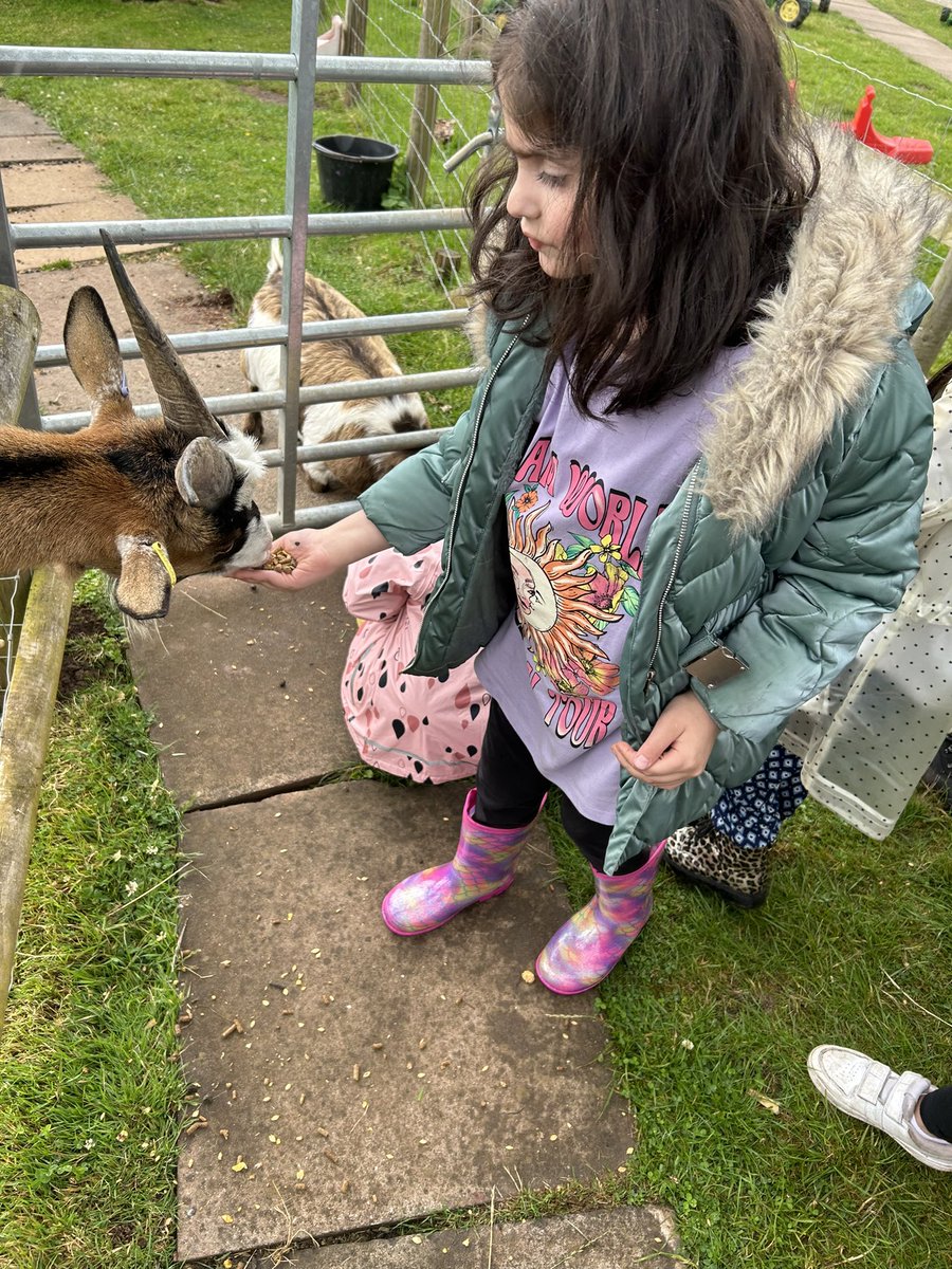 Miss Vickerstaff tweet media