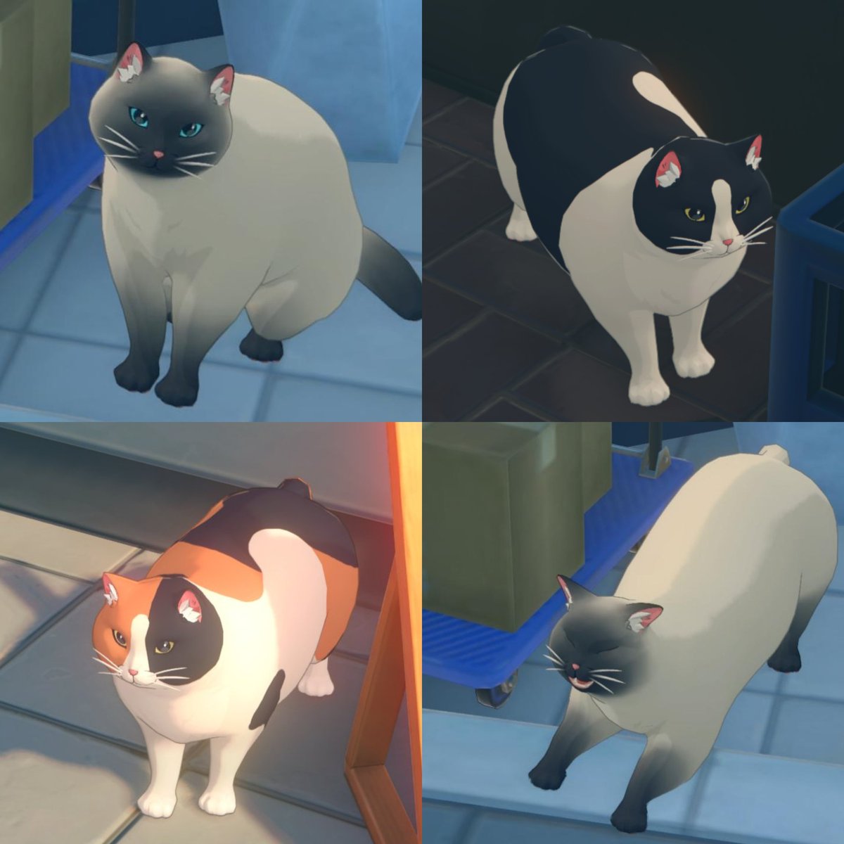 ZenlessWorld's tweet photo. i love these chubby cats 🐈‍⬛
are very adorable 🥺🌸 https://t.co/VjE86OWM90