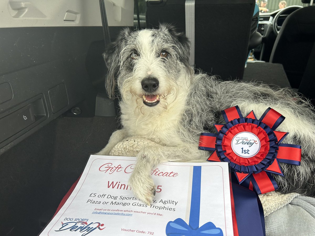 Katy__Perry's tweet image. Fun with this one today! Agility is my ‘me time’ always done it just for fun but my trainer has been pestering me to compete for a while.. today I did! Pretty pleased with the result to!