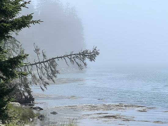 Truth_Substack's tweet image. thetruthabouteverything.com/post/the-wande…

A dead quiet island retreat off the coast of Maine that isn't eleventy-billion degrees. Nice!