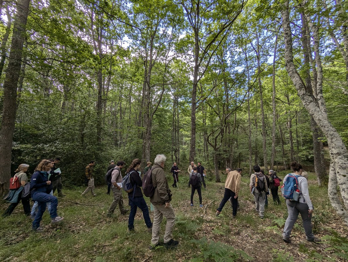 Espléndida jornada en el marco de la <a href="/REMP_es/">Red Estatal de Montes Públicos (REMP)</a> sobre "selvicultura próxima a la naturaleza" en el MUP Hijedo, Burgos.
Un lujo oír a Froilán Sevilla; veteranía experta.
Somos #REMP