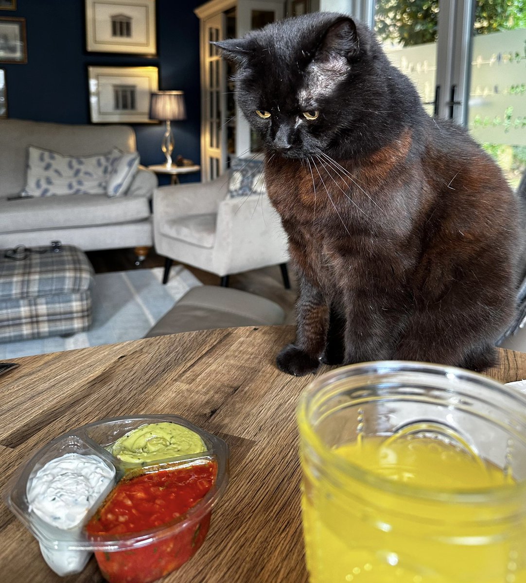 Dr Daisy Dixon tweet media