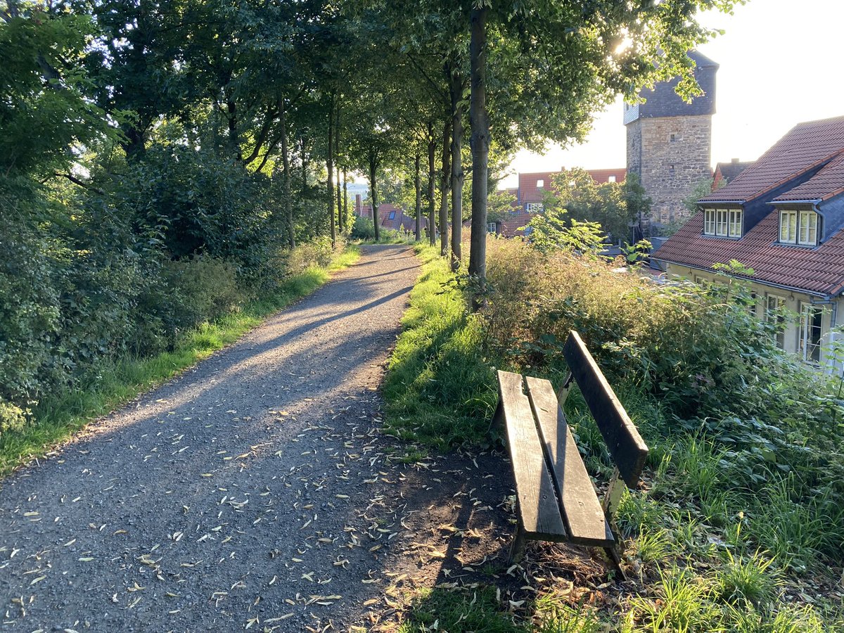 Sigmar von Blanckenburg tweet media