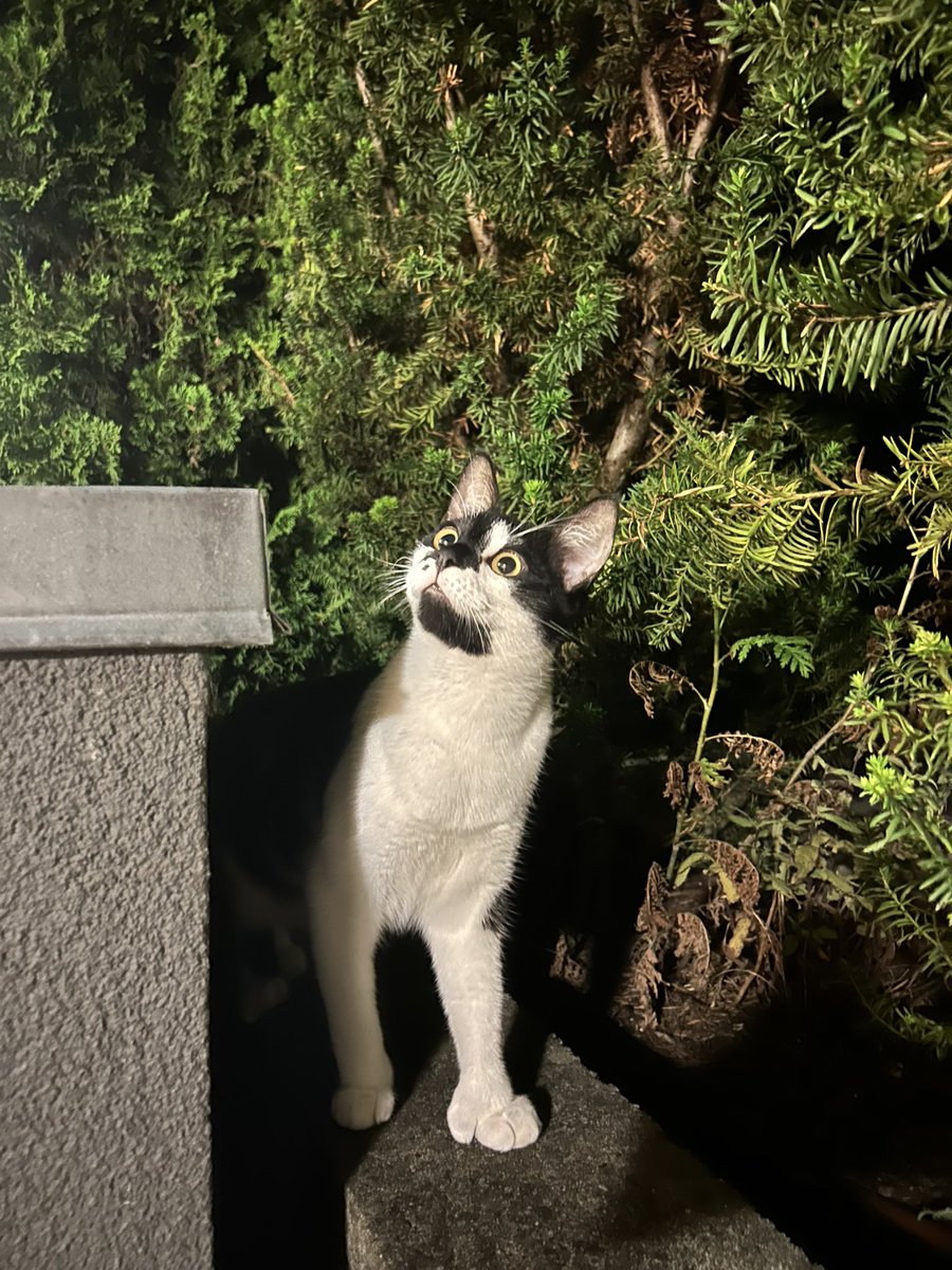 satoisnice's tweet photo. lazy and crazy 🥰 https://t.co/0kLnnAhy6J