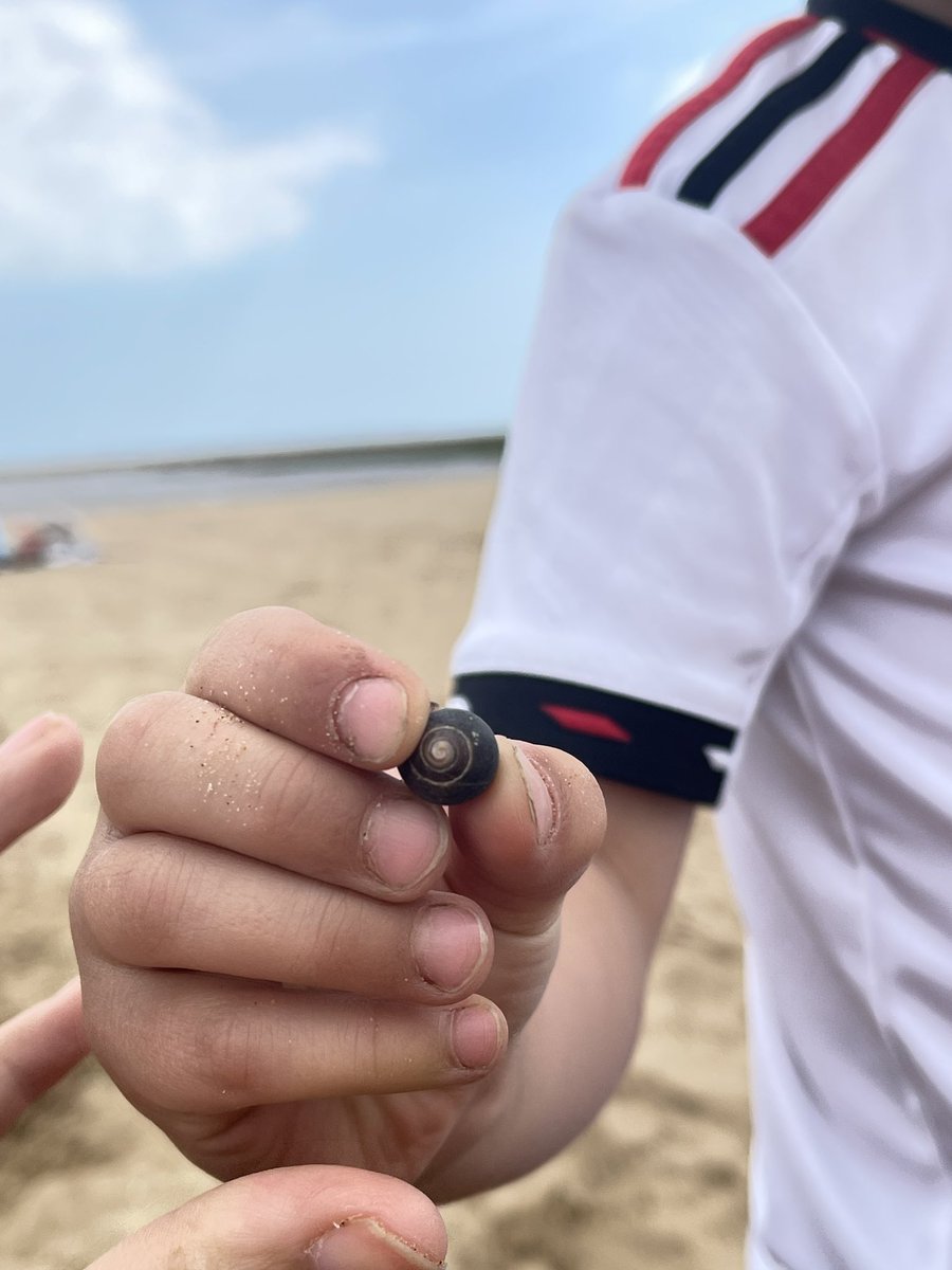 SwintonFitz's tweet photo. 🌊 Our Reception classes had a fantastic day at Cleethorpes, enhancing their knowledge and understanding of the world. Thanks to everyone who made it possible! 🏖️ #SchoolTrip #EYFS https://t.co/M0fGhEaiTD