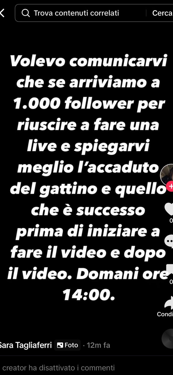 LeilaVB99's tweet photo. Vogliono fare il tutorial: come lanciare un gattino che non ci aveva fatto nulla, ma siamo coglioni in culo e malati di like.

MA COSA STRAMINCHIA C’È DA SPIEGARE 

E soprattutto, a nessuno frega un cazzo delle vostre parole. https://t.co/bYPnbiiKHu