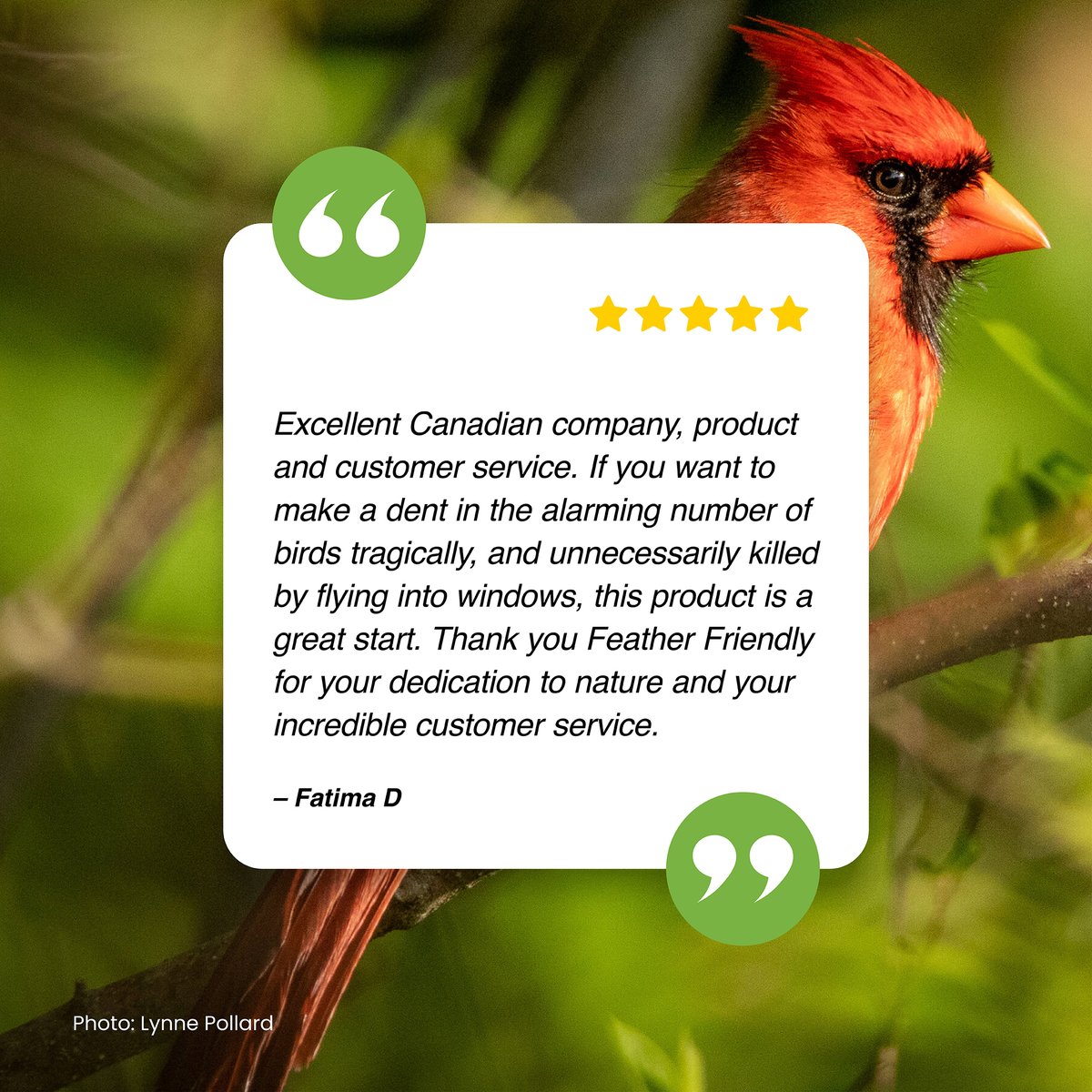 FeatherFriendly's tweet photo. Our Feather Friendly solutions are making urban spaces safer for birds and saving their lives! See what our happy patrons have to say.

#BirdSafe #FeatherFriendly #CustomerFeedback #BirdProtection #SafeGlass #glasscollision #birdsafeglass https://t.co/HBIHyslKde