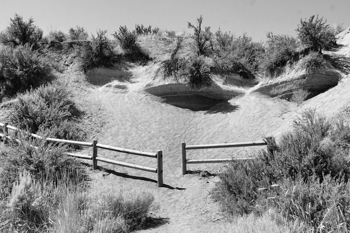 abrewi3010's tweet photo. On the 4th I tried #Hiking again, turns out I still have some PTSD from my snake incident a few weeks ago. Saw a snake on this hike, that didn't help my mental health. Here are some photos for your enjoyment. #ChronicPain #RheumChampion #PatientChat #Medx https://t.co/2IASs08lJ3