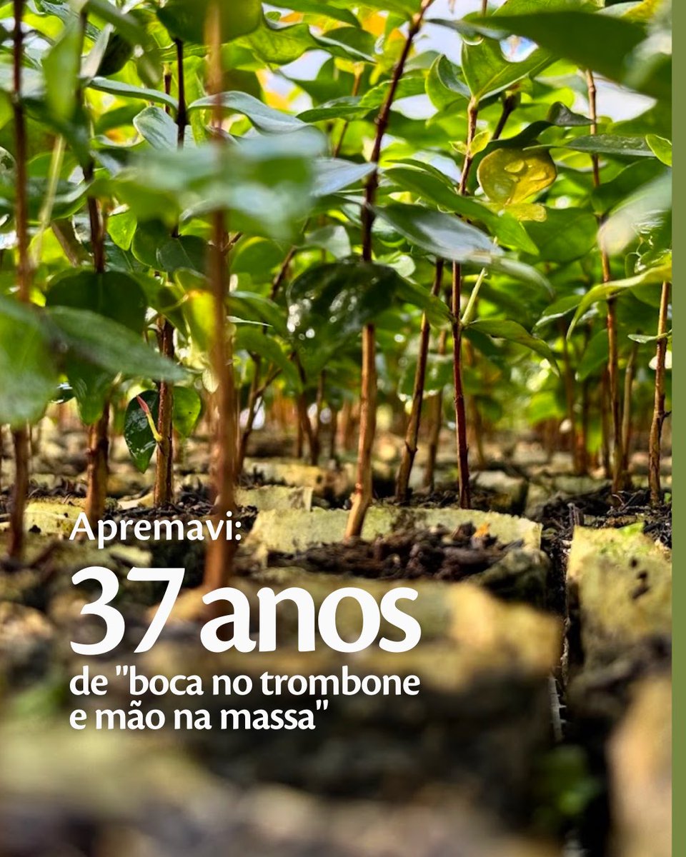 Apremavi tweet media