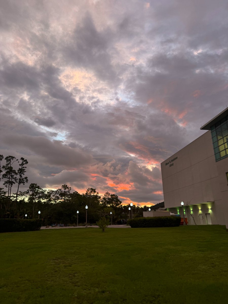 fgcu's tweet photo. Student sunset photos are the BEST! DM us your #fgcusunset photos for a chance to be featured. ☀️🌴 #fgcu https://t.co/PZHtJzmK30