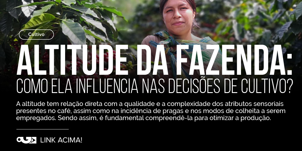A altitude desempenha um papel fundamental na produção de café, com a faixa ideal para o cultivo da espécie arábica situada entre 800 e 2.100 metros acima do nível do mar.
👉perfectdailygrind.com/pt/2024/07/08/…