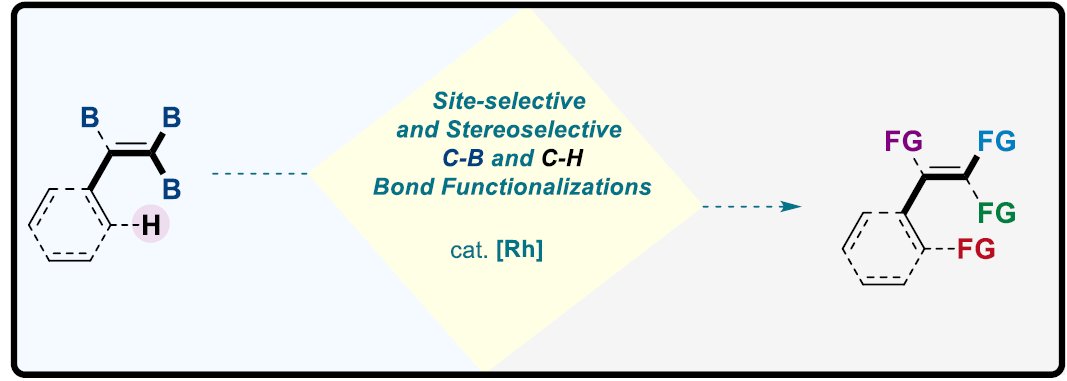 Boron-Chem-Research (@boron_chemistry) on Twitter photo Stereoselective C−B and C−H Bonds Functionalization of PolyBorylated Alkenes (<a href="/angew_chem/">Angewandte Chemie</a>): onlinelibrary.wiley.com/doi/10.1002/an… (<a href="/AhmadMasarwa2/">Ahmad Masarwa (Masarwa Lab)</a>). Stereoselective C−B and C−H Bonds Functionalization of PolyBorylated Alkenes (<a href="/angew_chem/">Angewandte Chemie</a>): onlinelibrary.wiley.com/doi/10.1002/an… (<a href="/AhmadMasarwa2/">Ahmad Masarwa (Masarwa Lab)</a>).