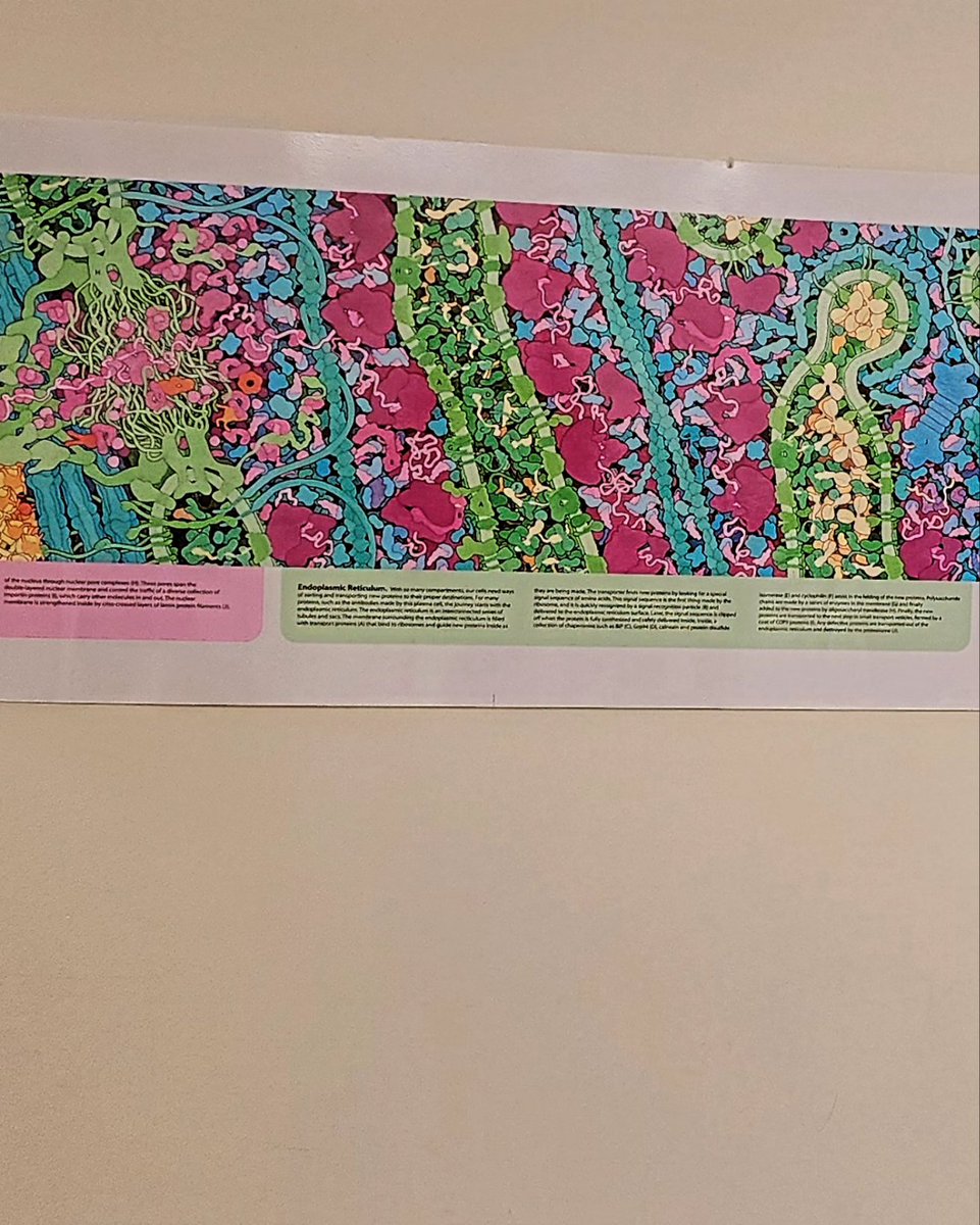 The A matters in STEAM!