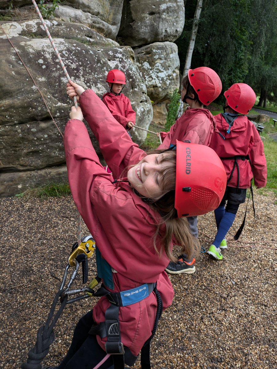 Wadhurst CE Primary School & Nursery tweet media