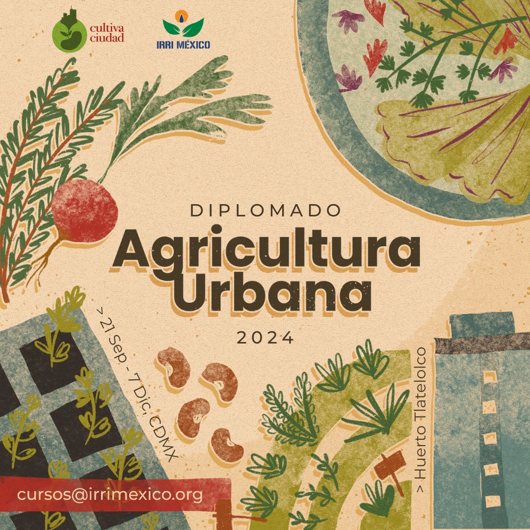 IRRI México (@irri_mexico) on Twitter photo 🚜🌿 ¡Anunciamos el Diplomado de Agricultura Urbana 2024! 🌱🌆
Una vez más, #IRRIMéxico y #HuertoTlatelolco se unen para sacar una nueva edición del Diplomado
🗓 Fecha: 21 de sep-7 de dic
💲 Costo: $8,400
¡Pregunta por nuestros descuentos disponibles! 📩 Icursos@irrimexico.org 🚜🌿 ¡Anunciamos el Diplomado de Agricultura Urbana 2024! 🌱🌆
Una vez más, #IRRIMéxico y #HuertoTlatelolco se unen para sacar una nueva edición del Diplomado
🗓 Fecha: 21 de sep-7 de dic
💲 Costo: $8,400
¡Pregunta por nuestros descuentos disponibles! 📩 Icursos@irrimexico.org