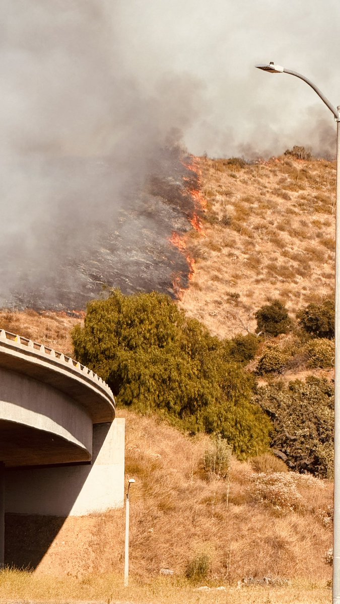 jul3s83's tweet image. I keep seeing burning bushes. What does it mean?