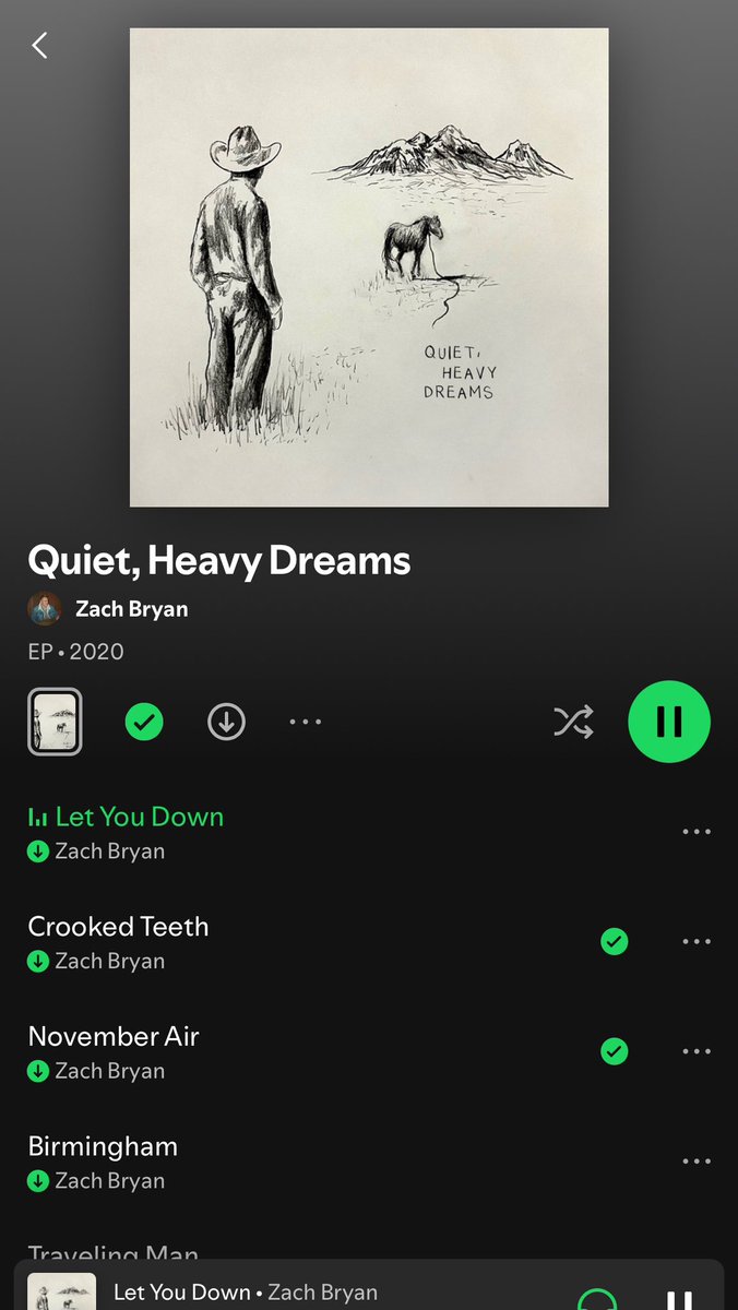 WGTD_Tracer's tweet photo. You want to talk about a MASTERPIECE from Zach Bryan?
Let’s discuss this one https://t.co/UmJCqBpUbM