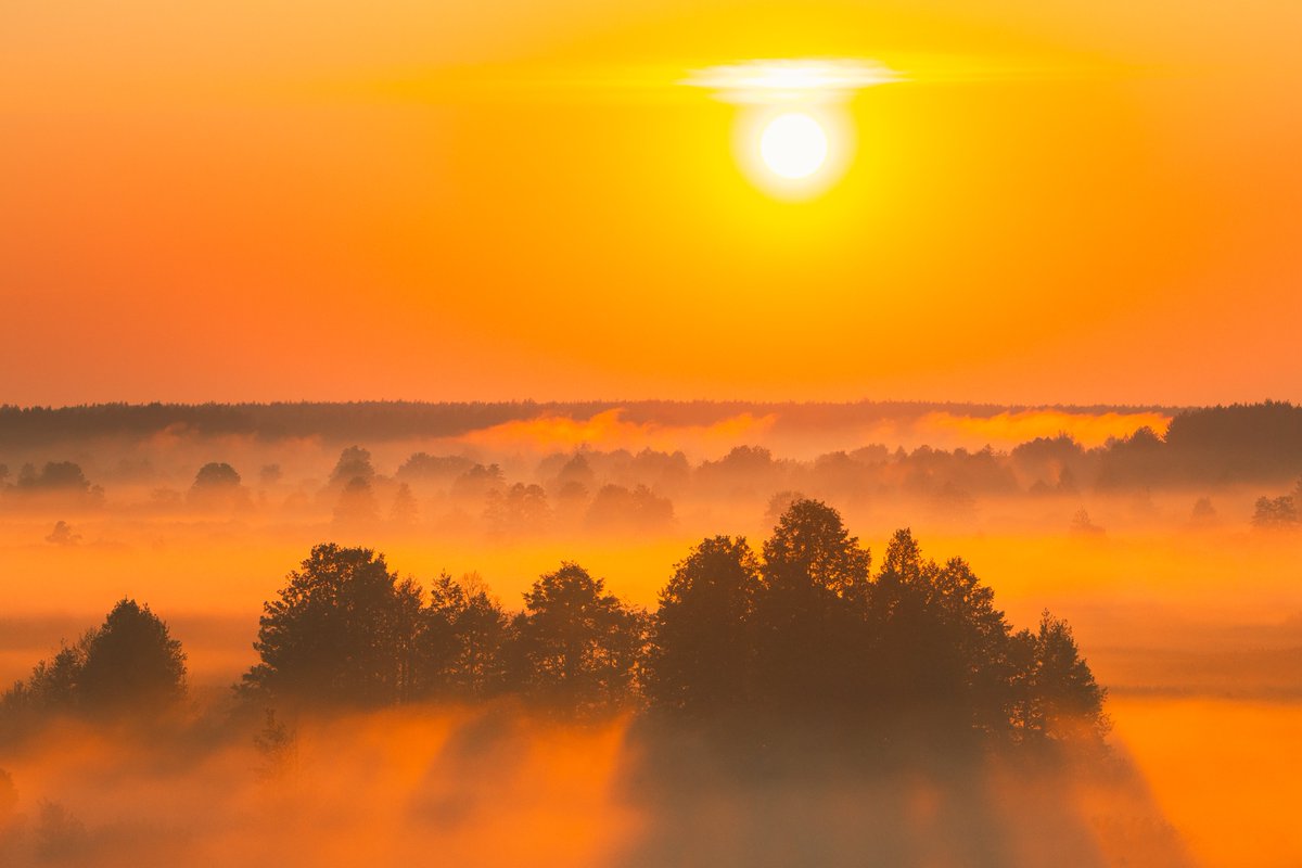 BloodCancerNet's tweet image. Embracing new beginnings @ the Blood Cancer Network! 🌅 Join us for resources, knowledge, awareness, and a caring community. Together, we can make a difference. #NewBeginnings #BCNetwork