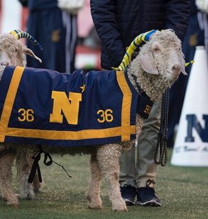 Cameron Kossmann (@cameronkossmann) on Twitter photo Blessed to receive an offer from Navy! All glory to God! #RollGoats
<a href="/Jay_Guillermo57/">Coach Jay Guillermo</a> @CoachJ_Williams <a href="/Drew_Cronic/">Coach Cronic @ Navy</a> <a href="/NavyFB/">Navy Football</a> <a href="/JPRockMO/">JP Rock</a> <a href="/AllenTrieu/">Allen Trieu</a> <a href="/247Sports/">247Sports</a> <a href="/GregSmithRivals/">Greg Smith</a> <a href="/Rivals/">Rivals</a> <a href="/samspiegs/">Sam Spiegelman</a> <a href="/SWiltfong_/">Steve Wiltfong</a> <a href="/On3Recruits/">On3 Recruits</a> <a href="/NateLatsch/">Nate Latsch</a> <a href="/MarquetteFootbl/">Marquette Football</a> <a href="/mhs_stewart/">Coach Michael Stewart</a> Blessed to receive an offer from Navy! All glory to God! #RollGoats
<a href="/Jay_Guillermo57/">Coach Jay Guillermo</a> @CoachJ_Williams <a href="/Drew_Cronic/">Coach Cronic @ Navy</a> <a href="/NavyFB/">Navy Football</a> <a href="/JPRockMO/">JP Rock</a> <a href="/AllenTrieu/">Allen Trieu</a> <a href="/247Sports/">247Sports</a> <a href="/GregSmithRivals/">Greg Smith</a> <a href="/Rivals/">Rivals</a> <a href="/samspiegs/">Sam Spiegelman</a> <a href="/SWiltfong_/">Steve Wiltfong</a> <a href="/On3Recruits/">On3 Recruits</a> <a href="/NateLatsch/">Nate Latsch</a> <a href="/MarquetteFootbl/">Marquette Football</a> <a href="/mhs_stewart/">Coach Michael Stewart</a>