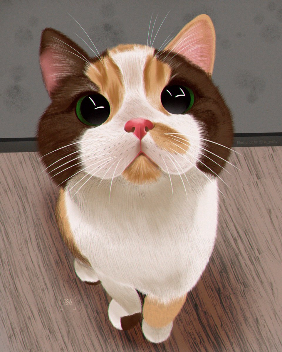Isa_grafic's tweet photo. Hola a todos Hice este retrato de este gatito. Que les parece? Tengo comisiones abiertas por si quieren una ilustración de sus mascotas XD #opencommission #comisionesdibujo #portrait https://t.co/C6ySmr4eaq
