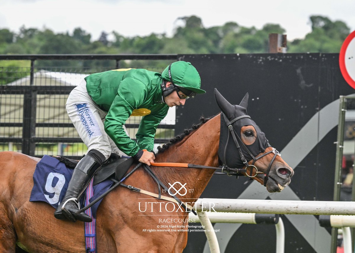 Uttoxeter Racecourse tweet media