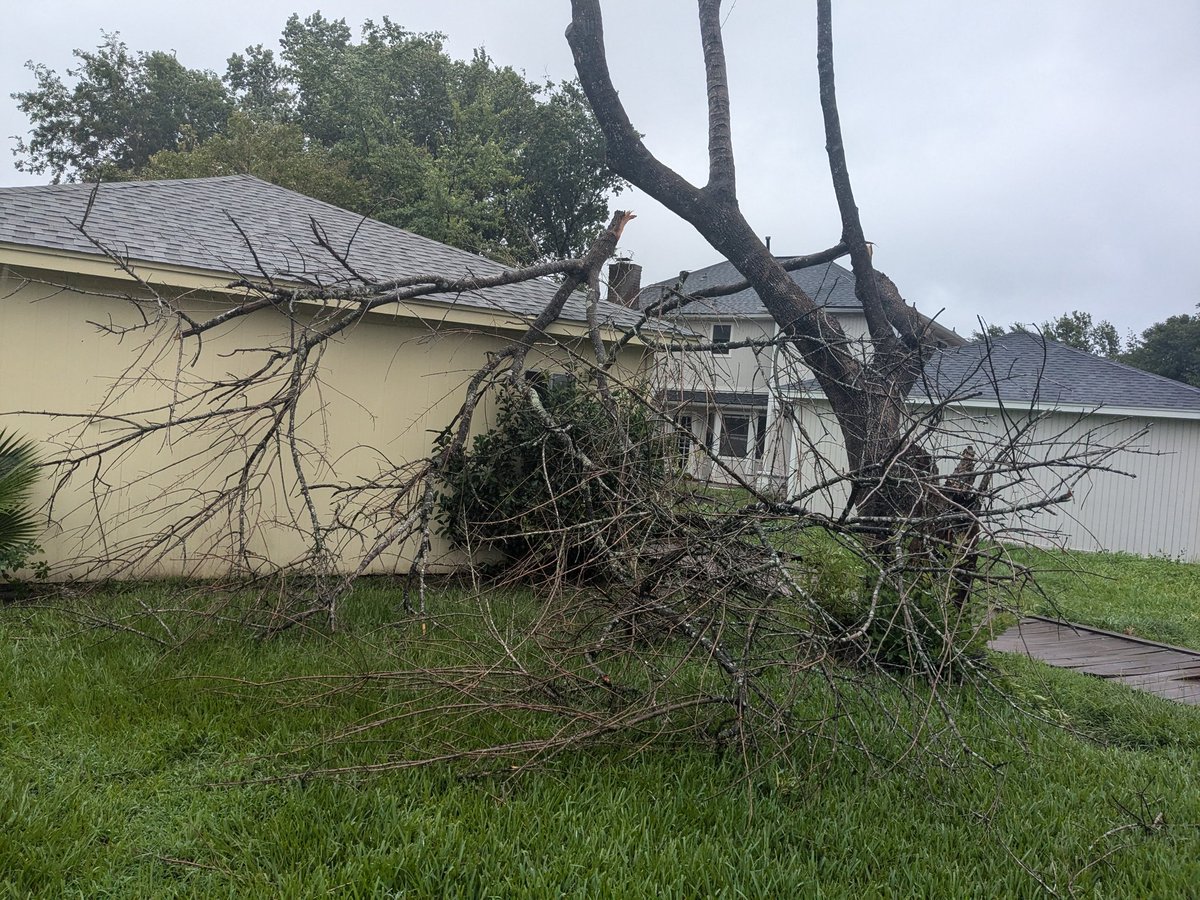 Tuff_titus's tweet photo. Hi friends! Just checking in to let y'all know that everything is good over here! We had some tree and fence damage from Beryl but nothing bad! We also saved a squirrel! 🐿️ I hope all of our other Houston friends are doing well! https://t.co/Jx0DFzzvHc