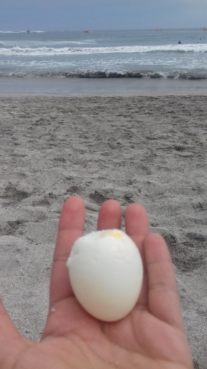No soy fans del huevo duro, pero esta postal en Iquique es de lujo.