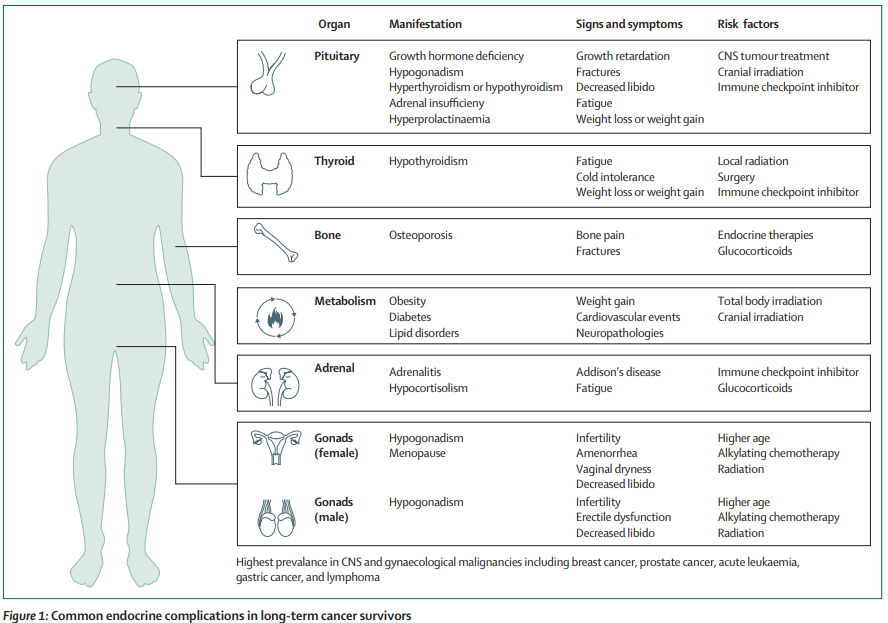 TheLancetEndo's tweet photo. #Endocrine complications occur in 40–60% of #survivors of #cancer and include hypothalamic–pituitary disorders, dysregulation of steroid and peptide hormones, and dysregulation of bone and metabolism https://t.co/Vr9Ck8GMsp 
#OpenAccess https://t.co/nqratXMddq