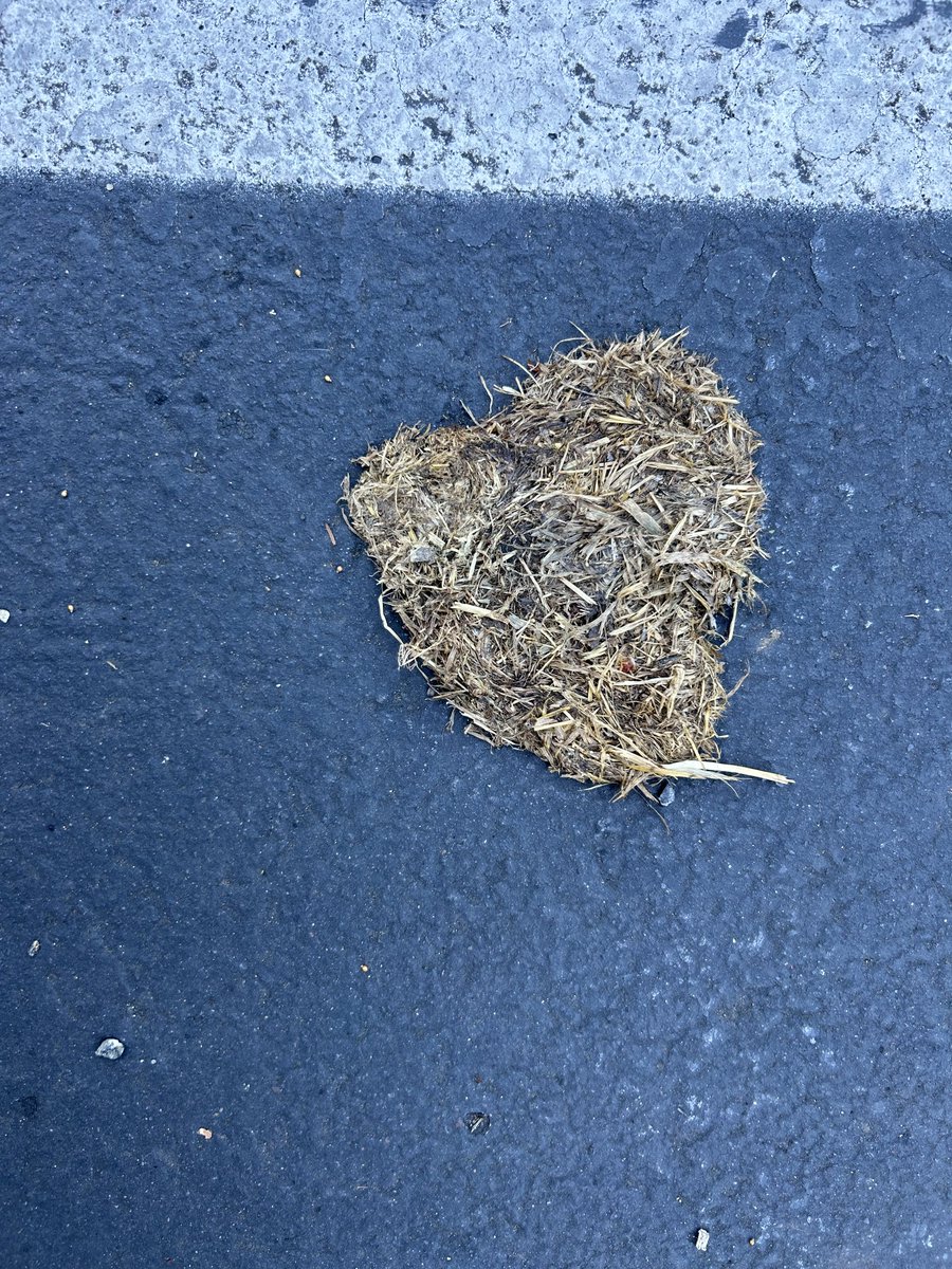 Grass heart