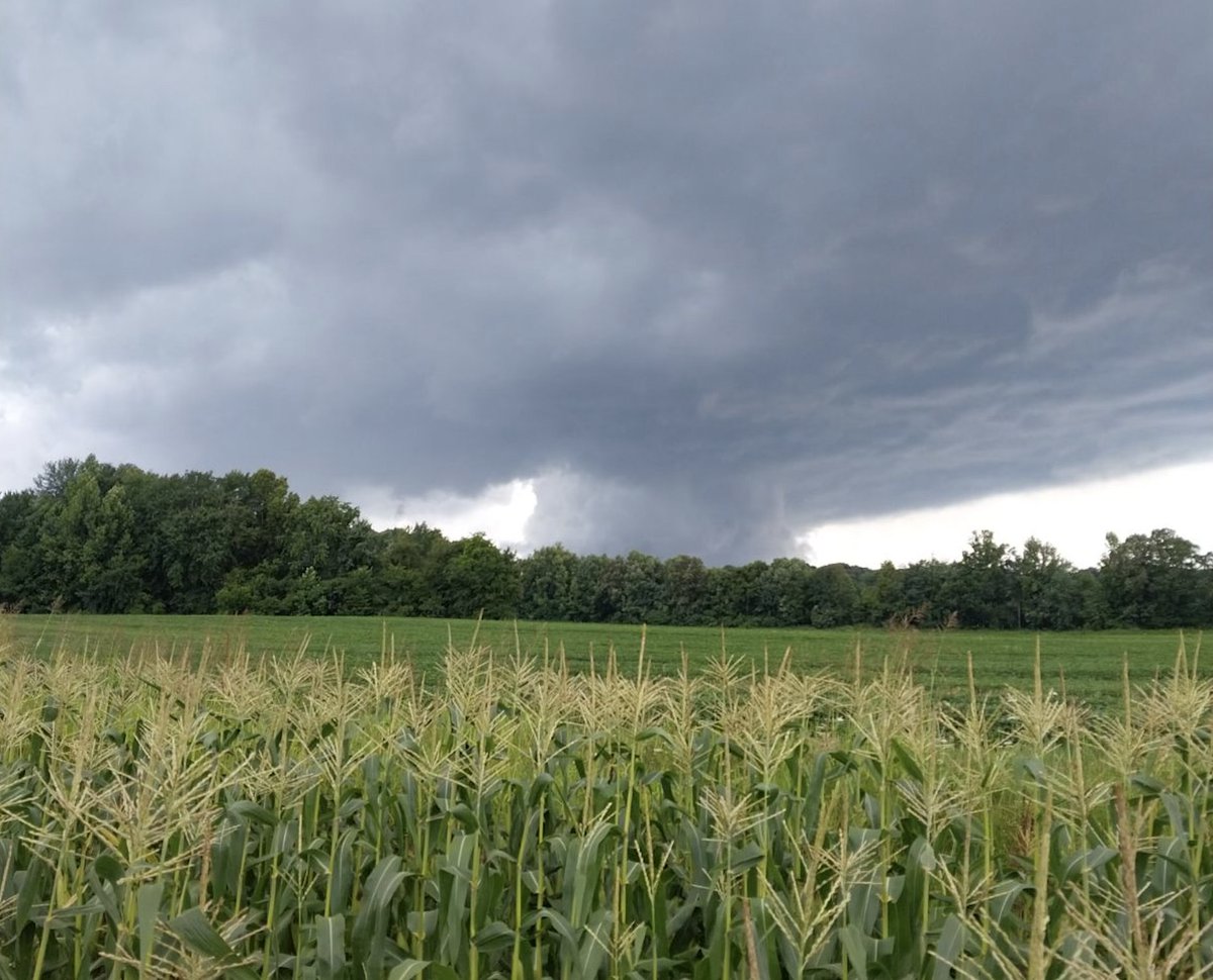 wxornotBG's tweet photo. Blatant rotation &amp; lowering on the supercell that just moved over Rochester. Thanks to Dewayne Mckinney for the photo looking west from Provo. #kywx @NWSLouisville https://t.co/Y9NSISrhzm