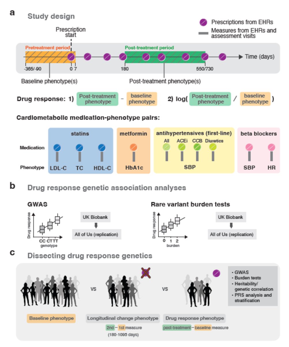 This paper could be transformative for the #pharmacogenetics research field (when published): ncbi.nlm.nih.gov/pmc/articles/P… <a href="/pgrnhub/">PGRN</a>