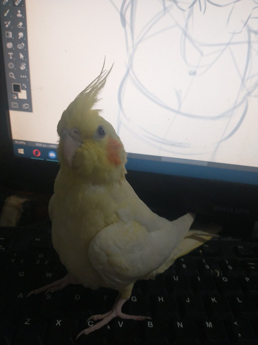 Work has been crazy with three big projects going on but y'all should know my assistant is not ugly anymore, he won that battle