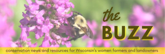 Happy WI Women in Conservation Week! Governor Evers has declared July 7-13 Wisconsin Women in Conservation Week, siting the important contributions of the state's women landowners, farmers, farm managers, farm workers and conservation professionals. 

buff.ly/3WfoYio